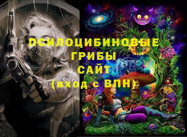 шишки Абинск