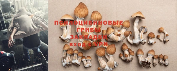шишки Абинск
