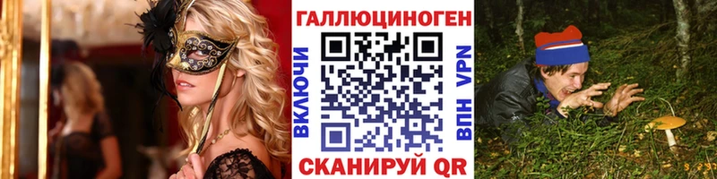 Галлюциногенные грибы Psilocybe Егорьевск