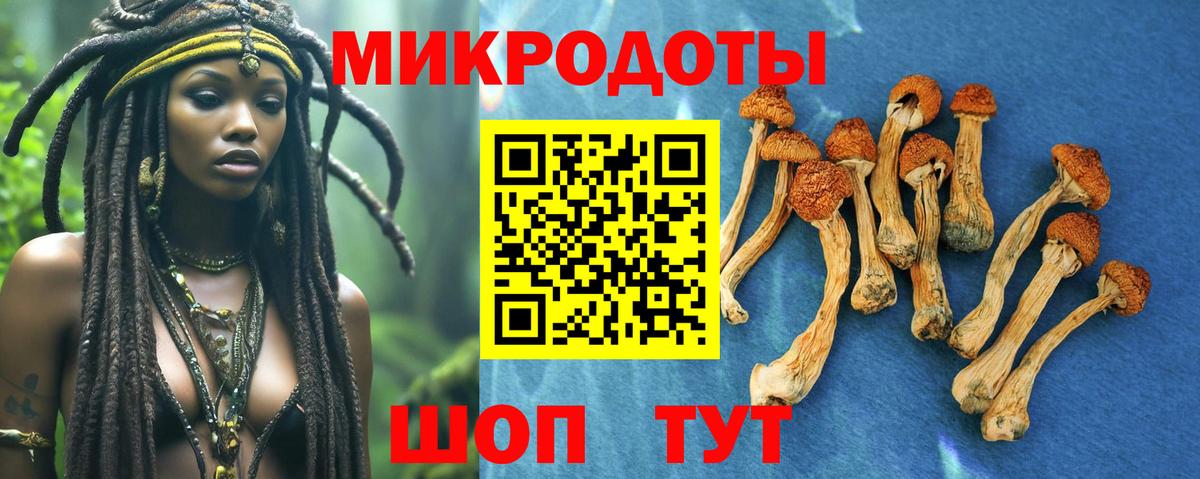 Псилоцибиновые грибы Psilocybine cubensis  Вход с VPN  Галлюциногенные грибы Cubensis  Егорьевск 