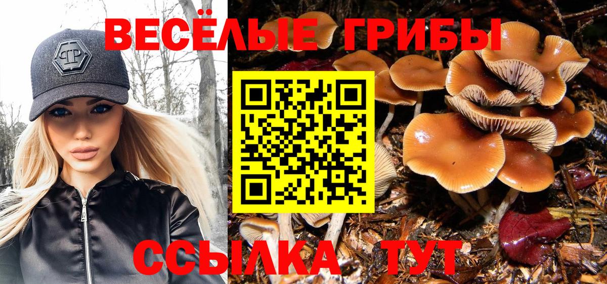 Галлюциногенные грибы Magic Shrooms Егорьевск